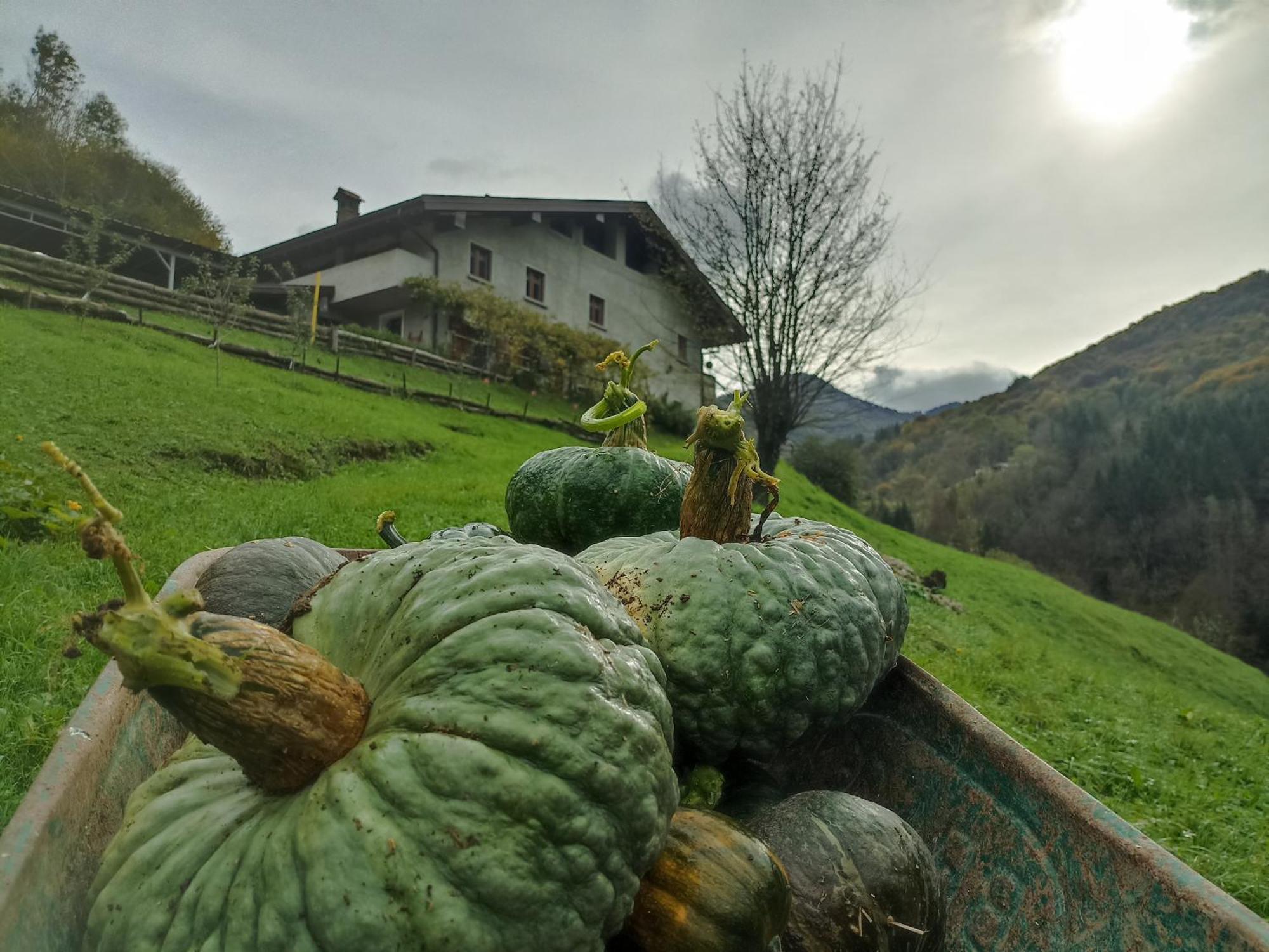 Agriturismo Cascina Cornella Cremeno المظهر الخارجي الصورة