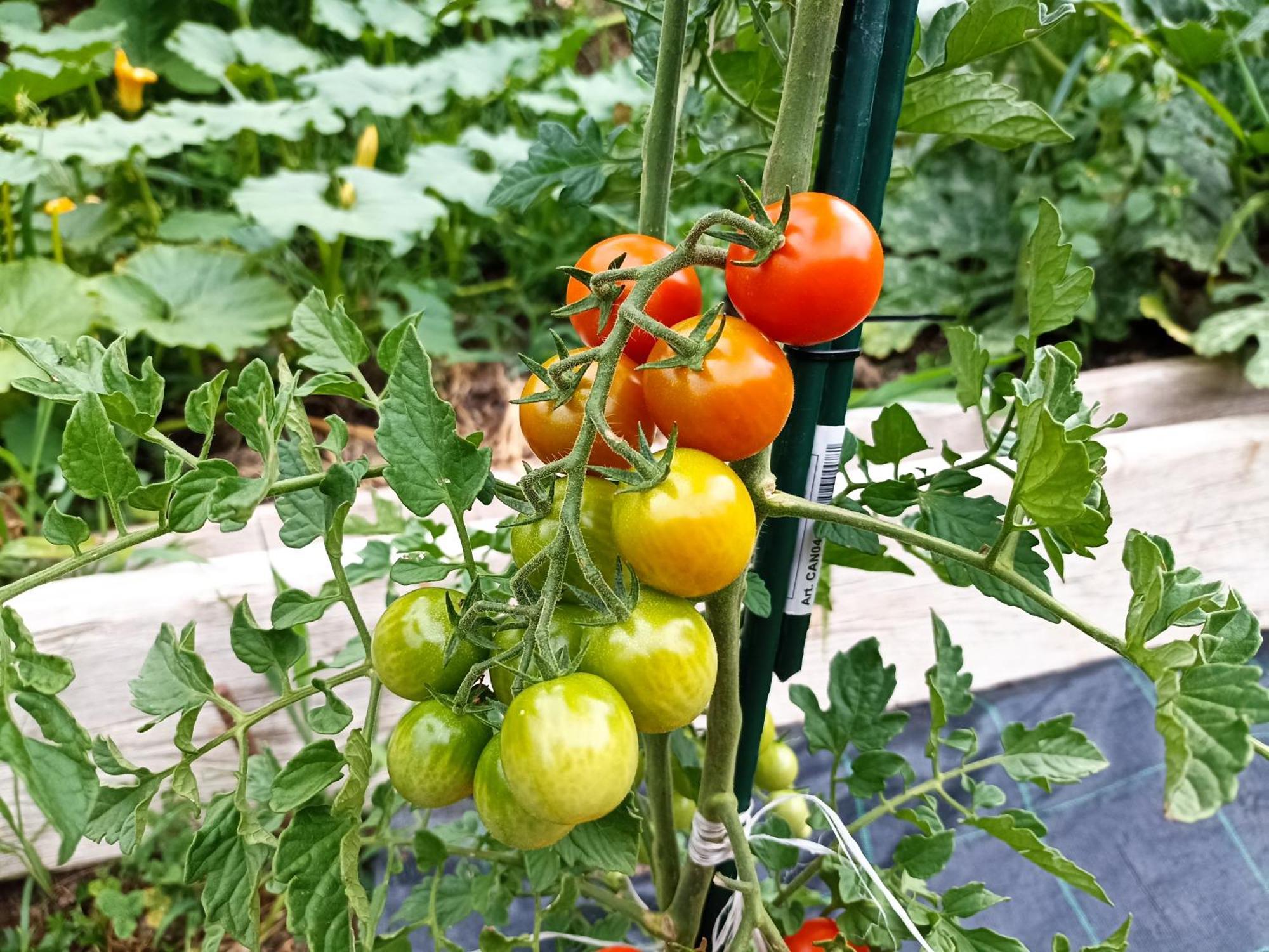 Agriturismo Cascina Cornella Cremeno المظهر الخارجي الصورة