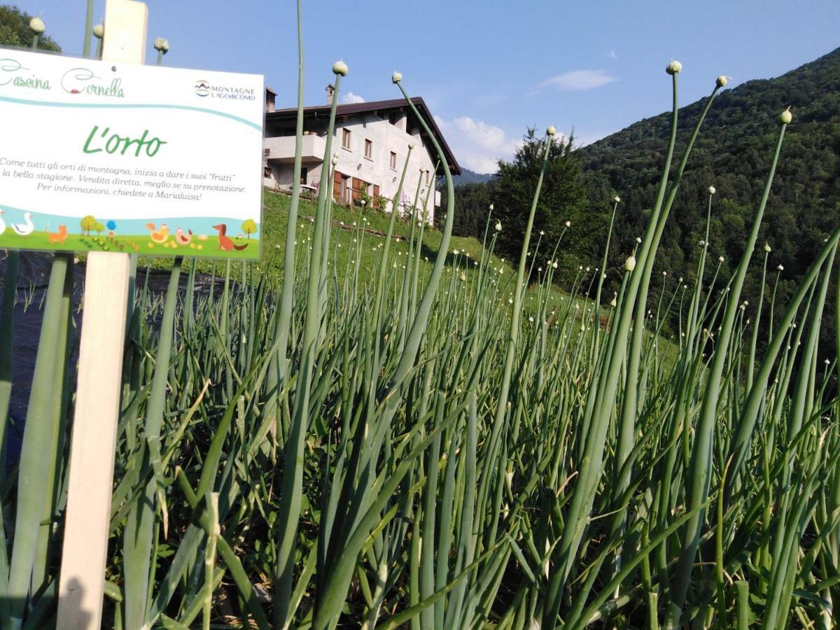 Agriturismo Cascina Cornella Cremeno المظهر الخارجي الصورة